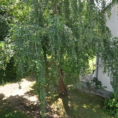 Apartment Vas Lipa 8 - 36 *